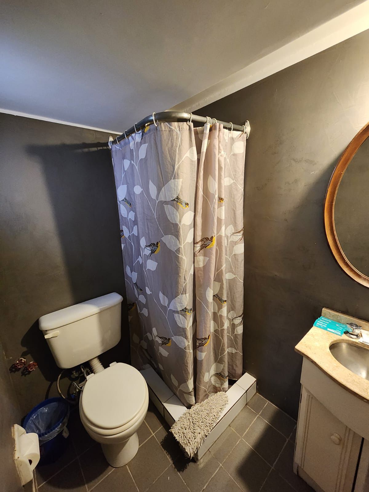 whatsapp image 2025 10 29 at 11.15.24 am