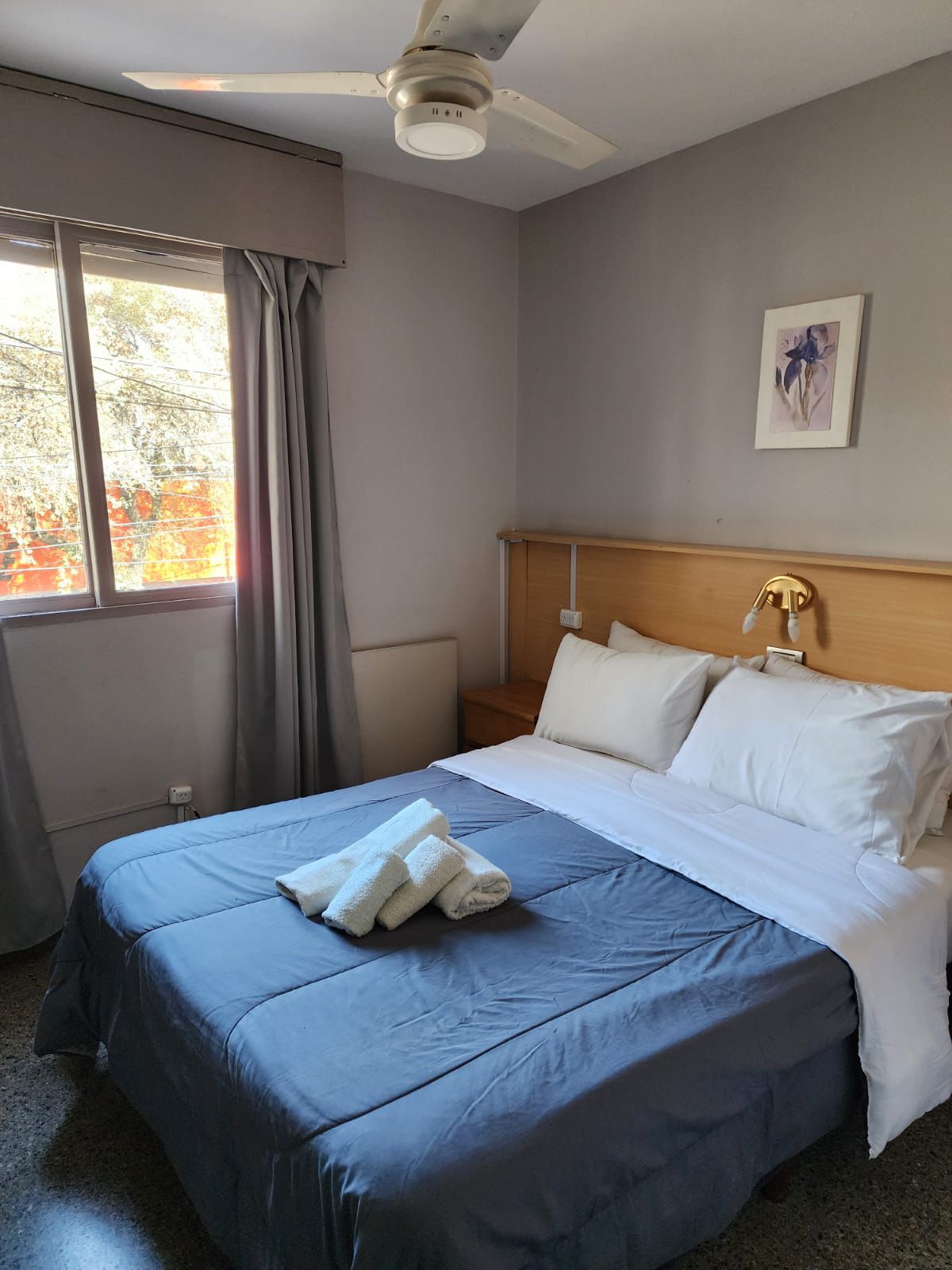 whatsapp image 2025 10 29 at 11.15.24 am(3)