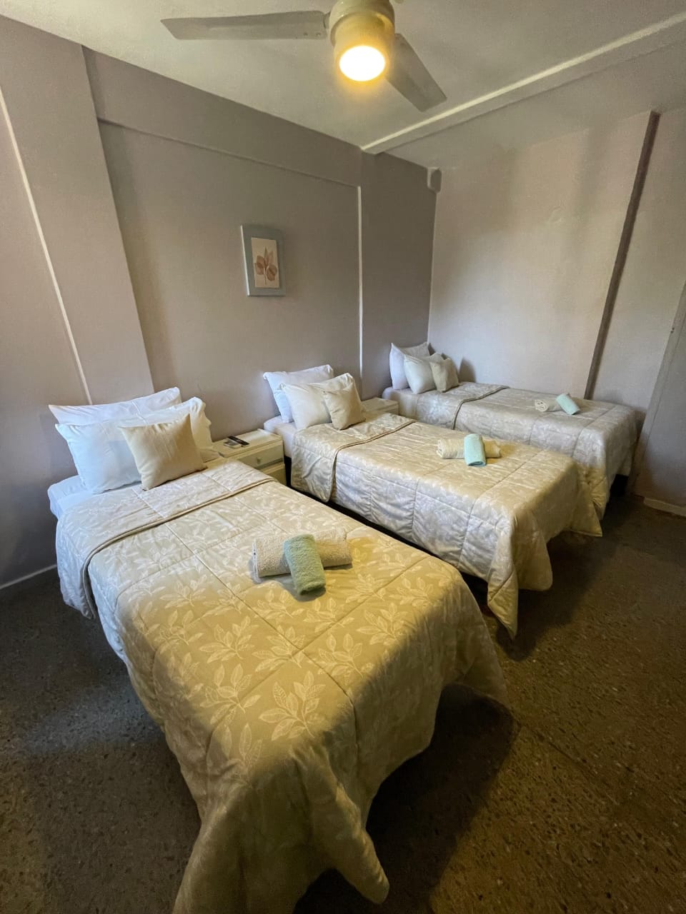 whatsapp image 2025 10 29 at 11.24.17 am(3)